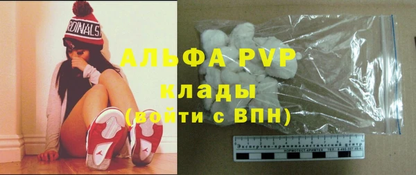 сатива Алзамай