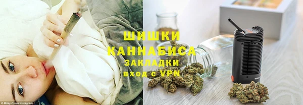 сатива Алзамай
