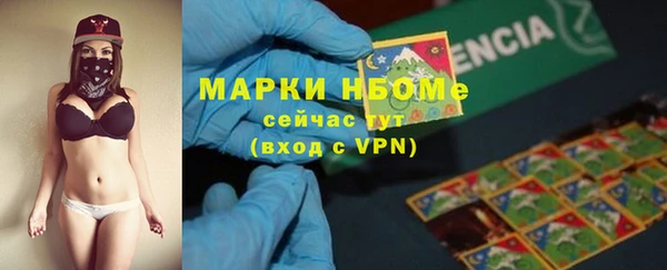сатива Алзамай