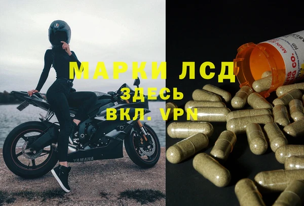 сатива Алзамай
