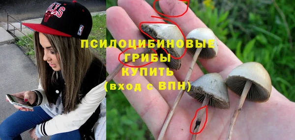 спиды Алексеевка