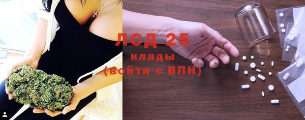 сатива Алзамай