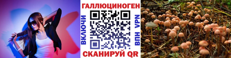 хочу наркоту Владивосток маркетплейс Telegram Галлюциногенные грибы Cubensis